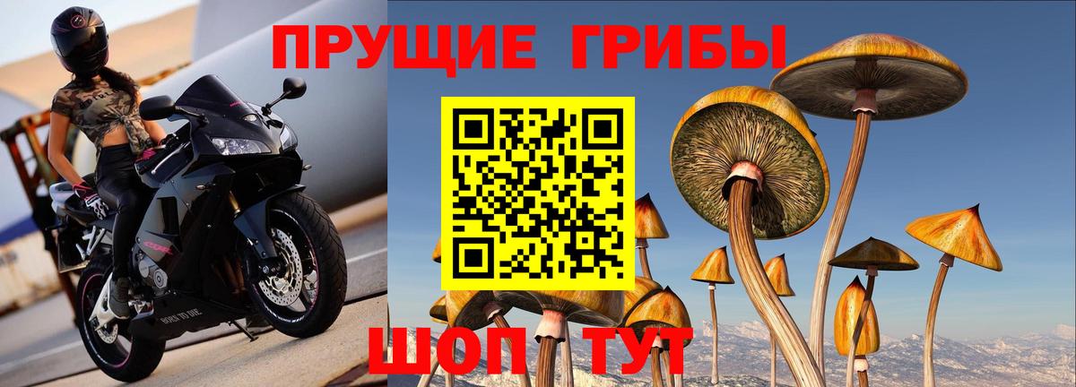 Псилоцибиновые грибы Magic Shrooms  Вход с VPN  Грязи 